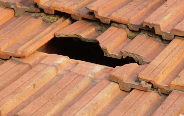 roof repair Lumphinnans, Fife